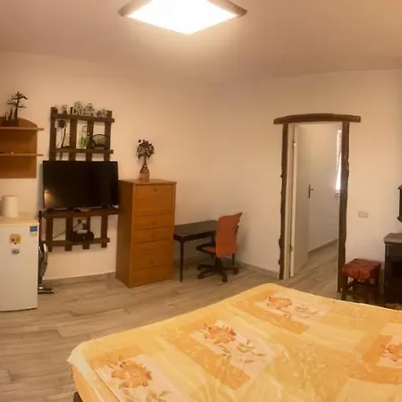 Privatunterkunft Gogo's House Mangalia