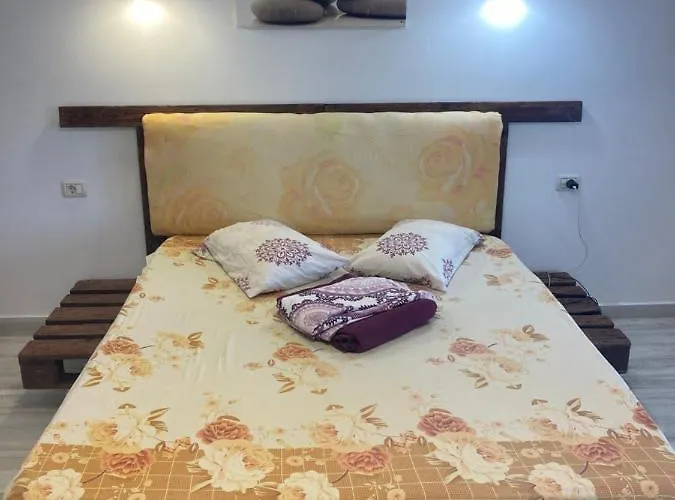 Homestay Gogo's House *