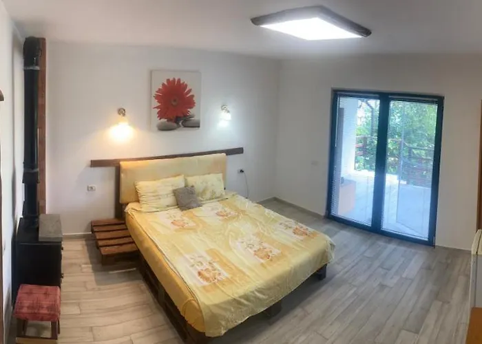 Homestay Gogo's House Mangalia