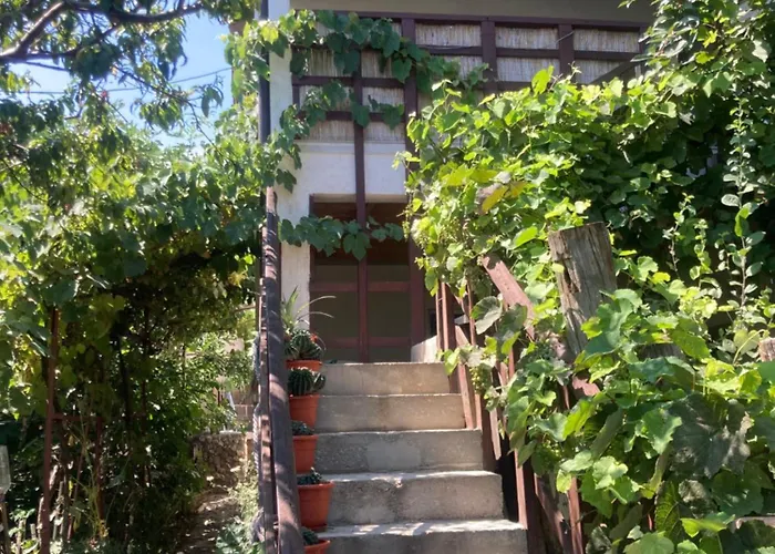 Homestay Gogo's House